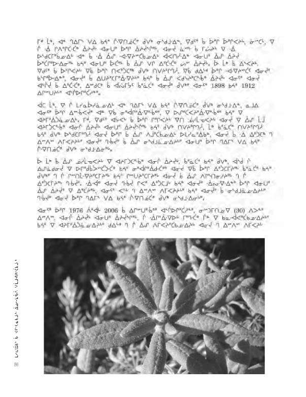 14734 CNC AR 2008_4L2 CR - page 190
